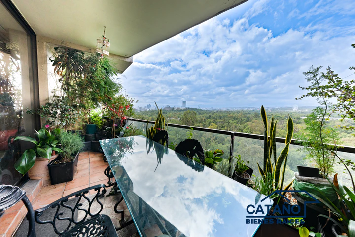 Departamento en venta, Rincon del Bosque, Campos Eliseos (2/6)