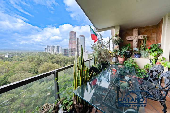 Departamento en venta, Rincon del Bosque, Campos Eliseos (3/6)