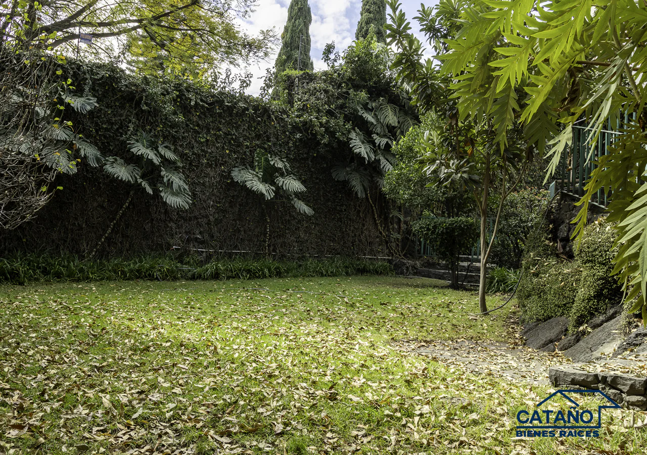 Casa en Venta y Renta, Jardines del Pedregal, Fuego (4/11)