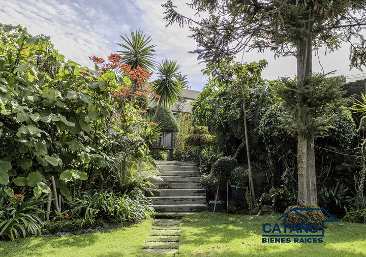 Casa en Venta y Renta, Jardines del Pedregal, Fuego (6/6)